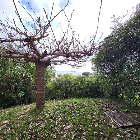 Maison Les Couchants Porticcio Porticcio  Ngoại thất bức ảnh